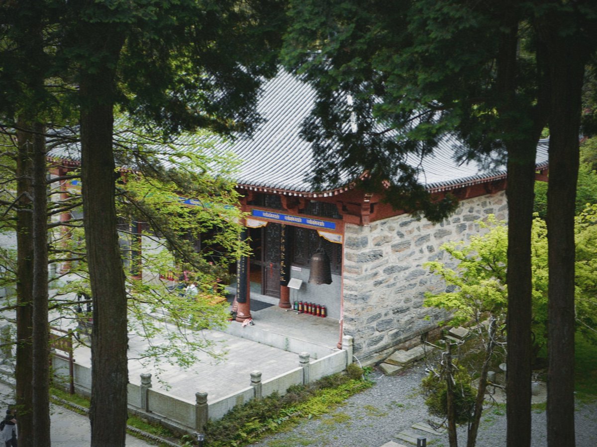 混世不吝 tweet media