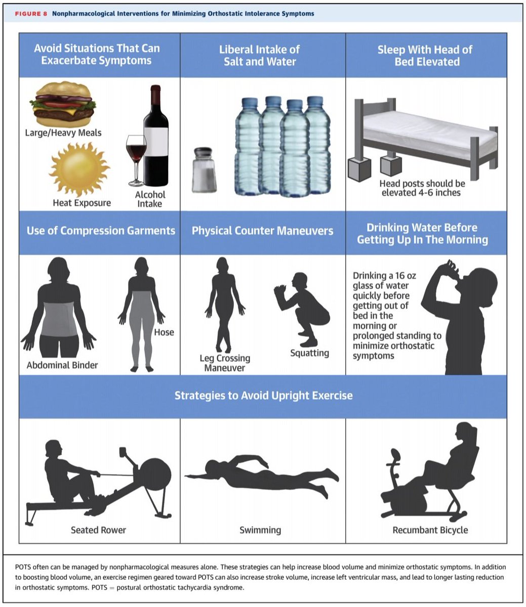 🔴 Postural Orthostatic Tachycardia Syndrome #OpenAccess #JACCReview

sciencedirect.com/science/articl…
#MedX #MedTwitter #CardioTwitter
#medx #medEd #MedTwitter #MedEd #cardiotwitter #FOAMed #CardioEd #Cardiology #MedEd #ENARM #cardiotwiteros #meded #cardiology #CardioTwitter #CardioEd