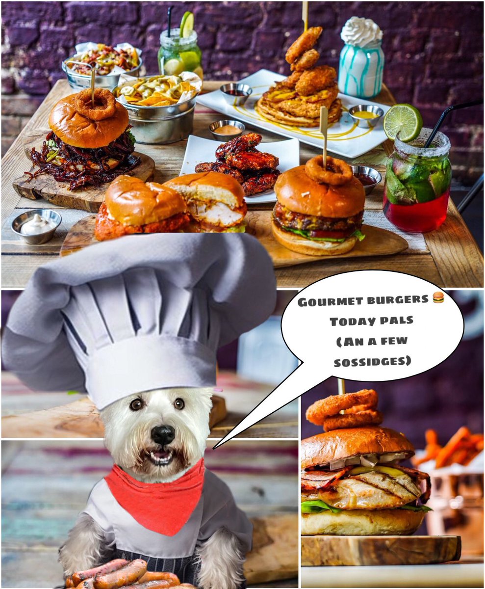 Me finks it time for summat to eat. Me made posh burgers 🍔 (an dere mite be some sossidges too) #zzst @GeneralBazz
