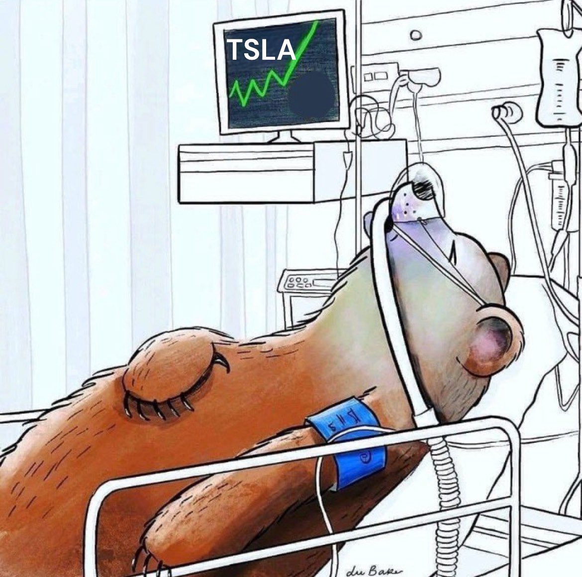 $TSLA Tesla shorts this past week