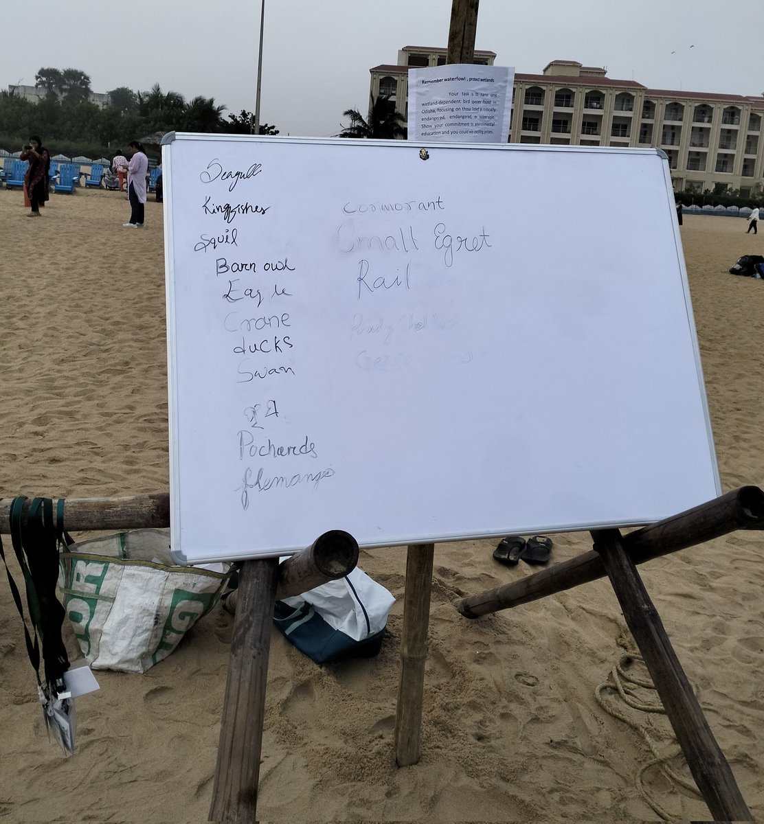 'Disappointed by the lack of awareness at an #environmentaleducation event on '#Waterfowls of #Odisha' held at #BlueFlag #beach, Puri. Hundreds participated, only 20 named this. This highlights the urgent need for better tomorrow  in our education system. 
#wetlandconservation