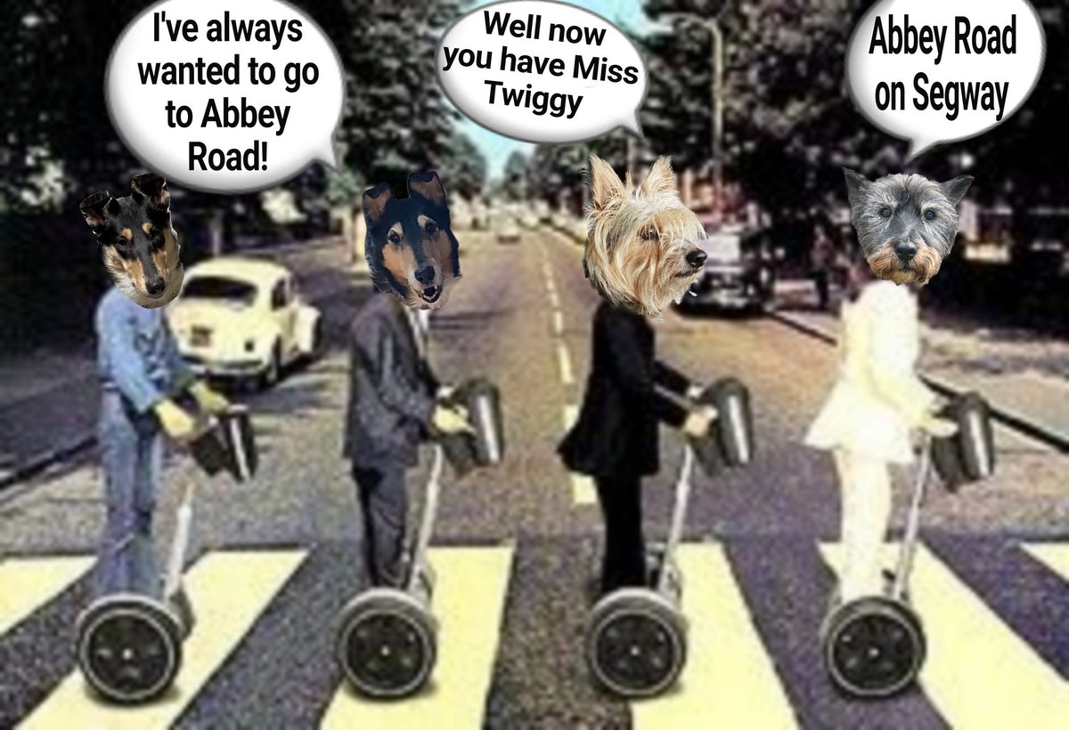 Awww I'm glad we managed to segway all the way to Abbey Road bestie...... Miss Twiggy has always wanted to come here! #zzst #segway #BovverBoys @jennystape @CollieTwiggy #AbbeyRoad