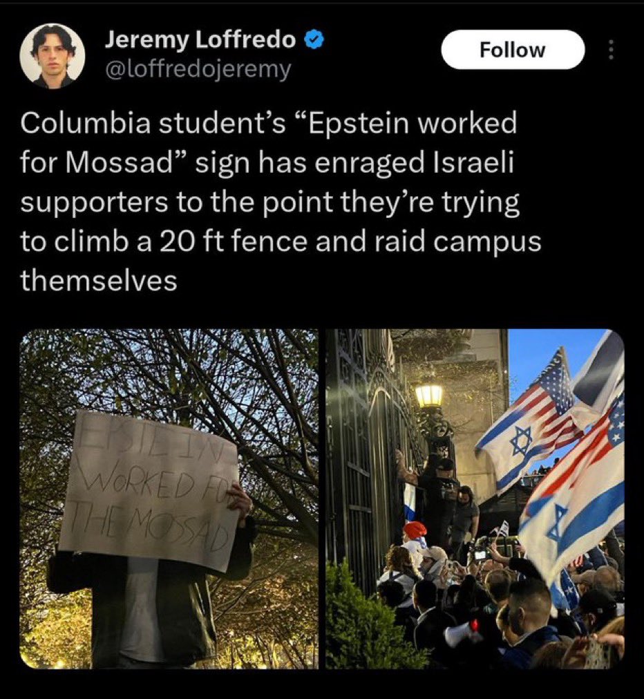 Why would Israel supporters want to shut down people with correct signs for? 🤔 They are climbing fences over this 😭