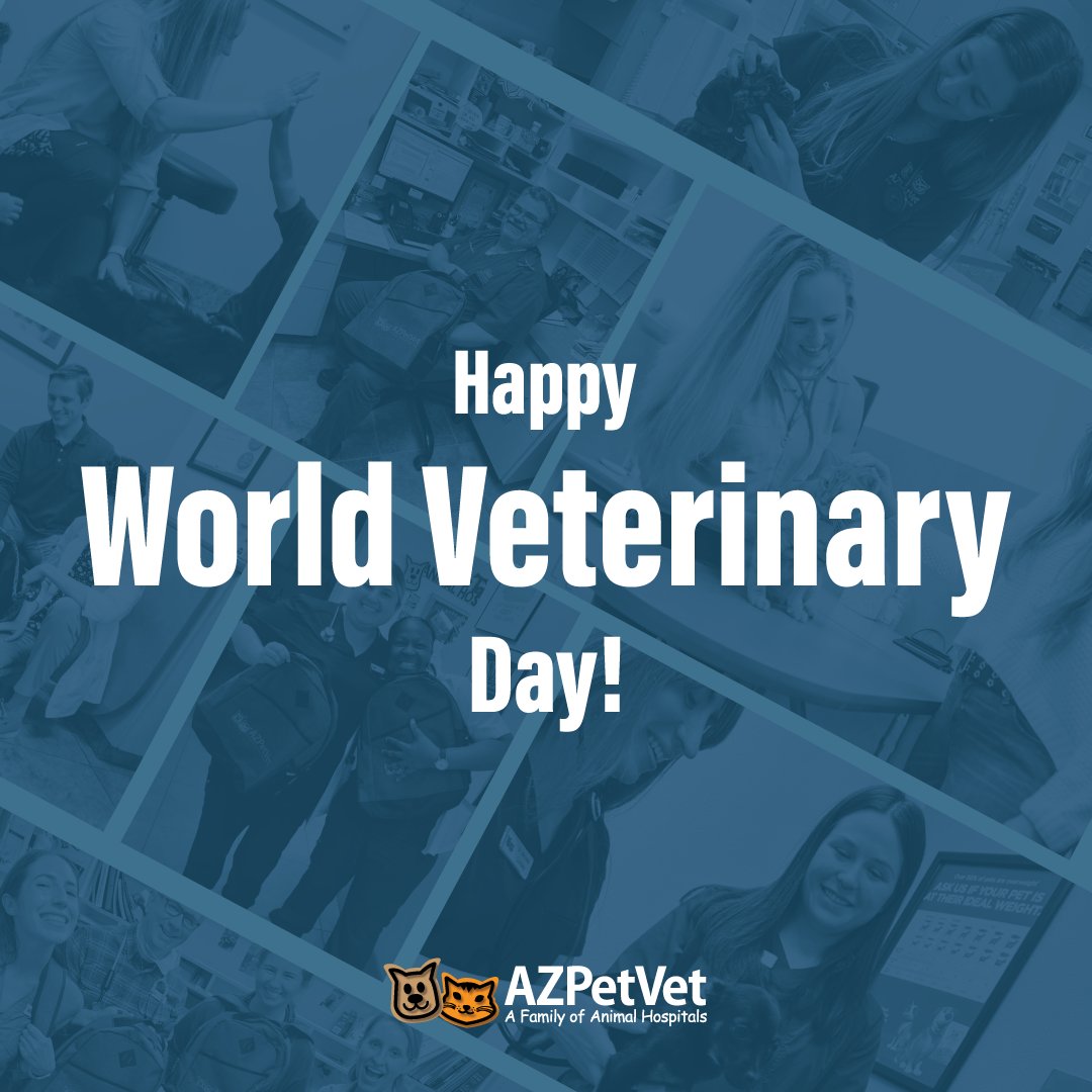 Happy World Veterinary Day! Today we take the time to celebrate the 100+ DVMs here at AZPetVet that work tirelessly to provide the best care possible to pets and pet parents in their communities. Thank you for everything you do!