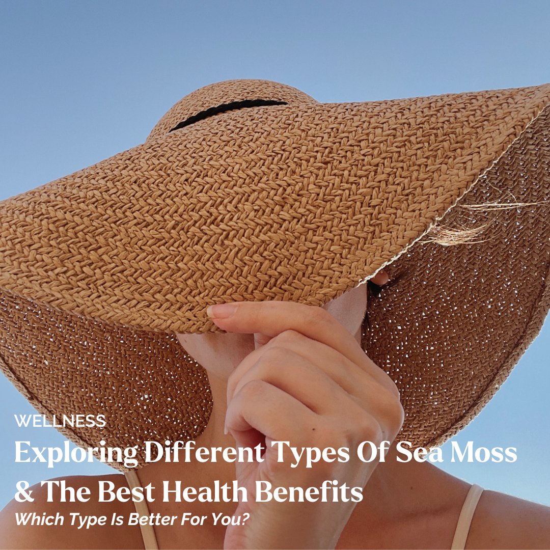 Sea Moss is having a moment in the spotlight, some even calling it a superfood - but why?

We are on a mission to explore the different types of Sea Moss and the best health benefits behind the sea vegetable.

Link in bio or weststatus.com/wellness/explo…