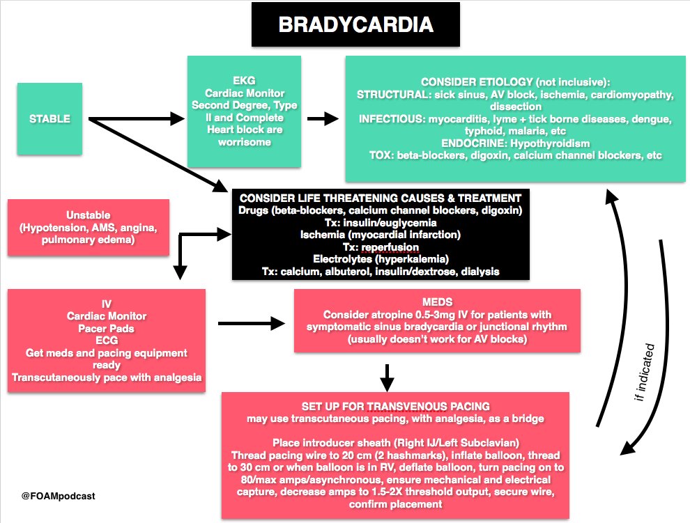 🔴 Bradycardia: Diagnosis and Treatment ✅️ SINUS BRADYCARDIA ✅️ JUNCTIONAL BRADYCARDIA ✅️ 1st DEGREE AV BLOCK ✅️ 2nd DEGREE AV BLOCK Type 1 and 2 ✅️ COMPLETE HEART BLOCK foamcast.org/2017/01/25/epi…