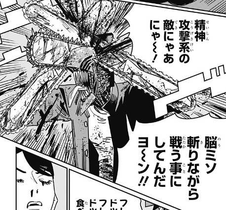 今日のイカ 