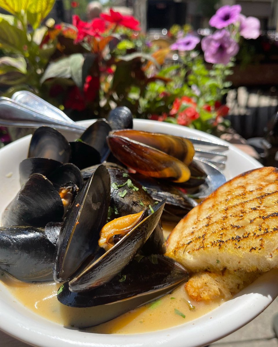 Flexin.’ 💪 Cozze alla Siciliana: P.E.I. Mussels, White Wine, Garlic, Basil, Parsley & White Sauce.