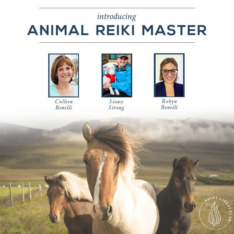 ColleenBenelli's tweet photo. Our April Newsletter is full of Reiki resources including Animal Reiki videos, tips and tricks!
https://t.co/dQHyTOvS2j https://t.co/bWQHhYJChV