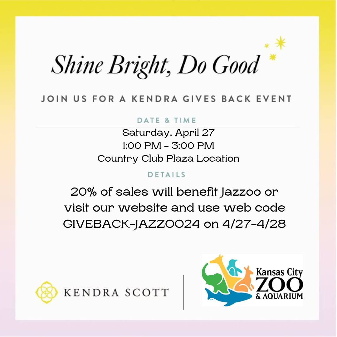 Join us for a give-back event at @KendraScott on the Country Club Plaza today from 1-3pm! During this shopping event, 20% of sales will be donated to Jazzoo. You can enjoy champagne and light snacks while you pick the perfect accessory to complete your look for this year’s event!