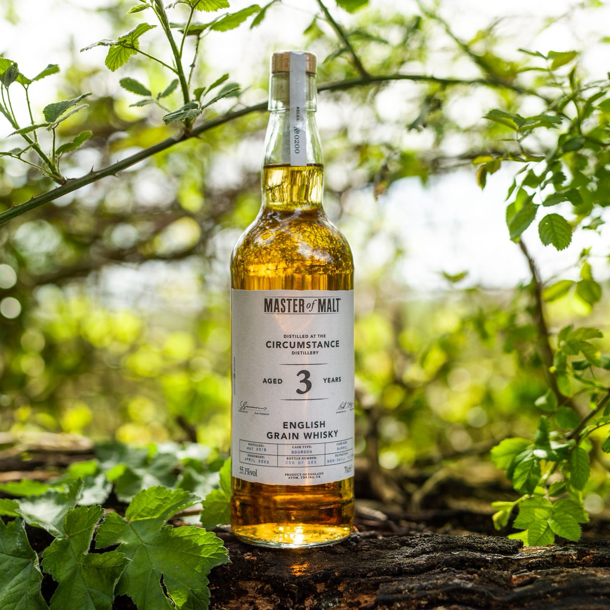 This English single grain from Bristol's Circumstance was distilled in 2019 and matured in a bourbon barrel for three years. masterofmalt.com/whiskies/circu…