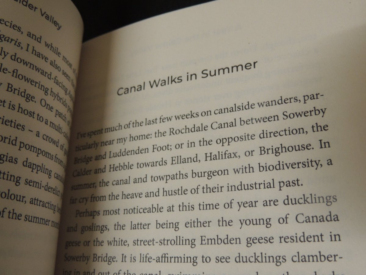 From my book of #nature essays A Year in the Calder Valley saraband.net/sb-title/a-yea… #Yorkshire #nature #wildlife #plants #trees #animals #biodiversity