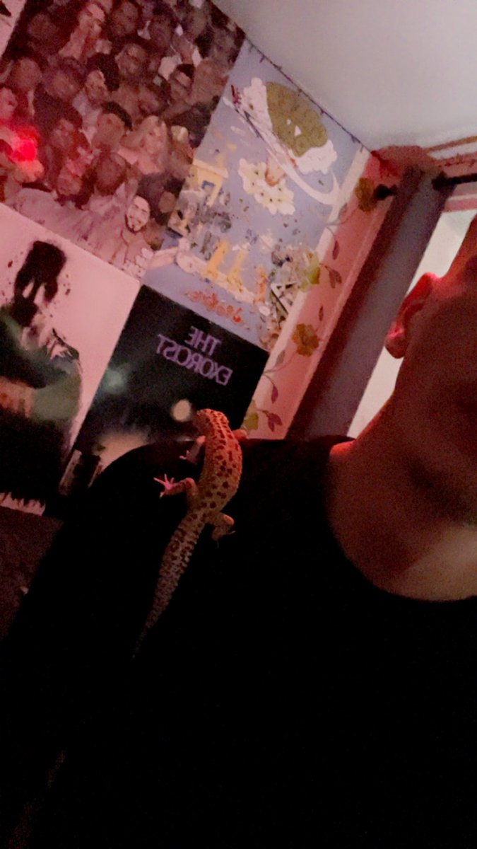 Rodderzs tweet media