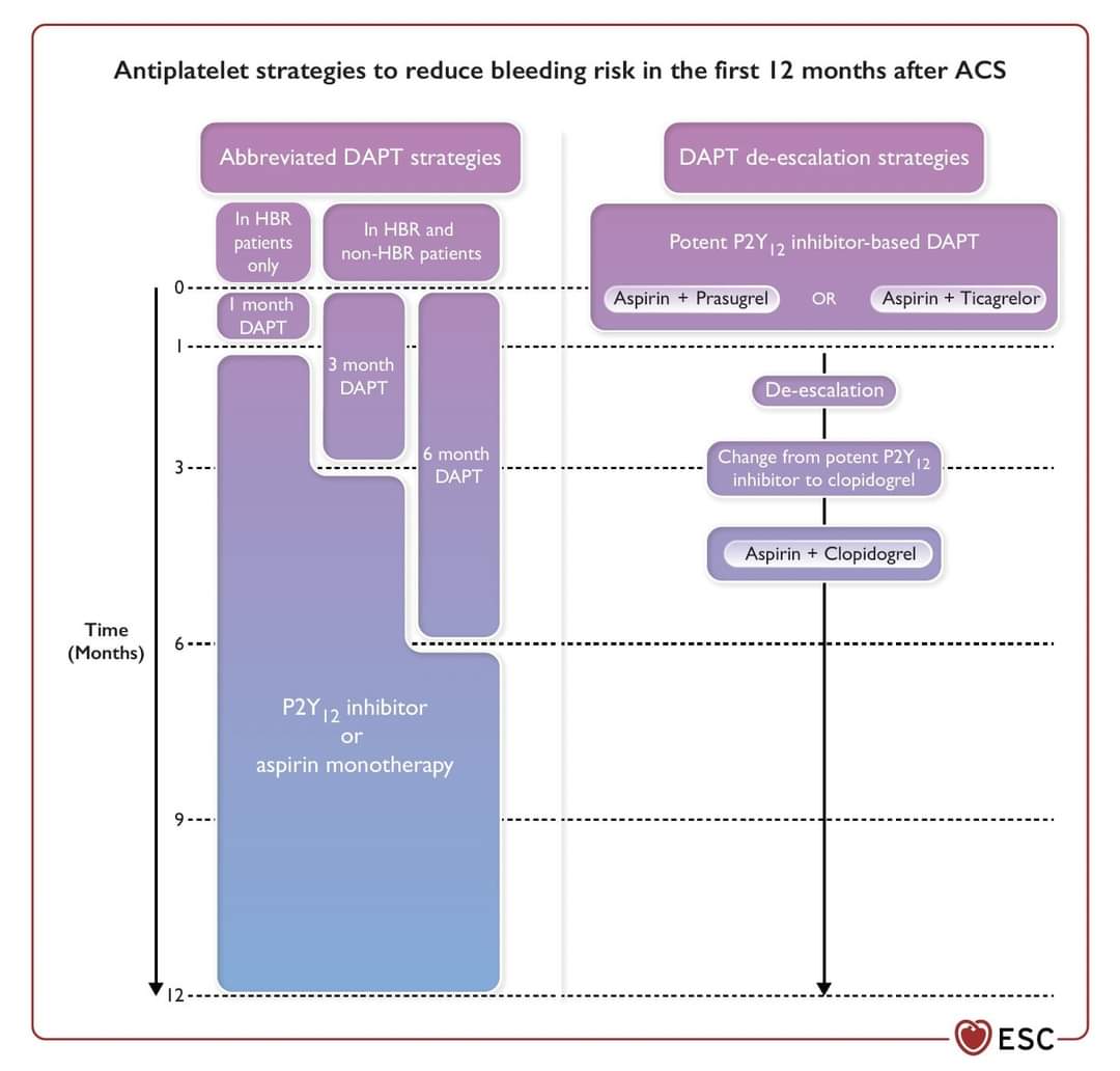 🔴  2023 ESC Guidelines on ACS: what is new in antithrombotic therapy?

academic.oup.com/ehjcvp/advance…
 #MedEd #cardiotwitter #FOAMed #CardioEd #Cardiology #MedEd #ENARM #cardiotwiteros #meded #cardiology #CardioTwitter #CardioEd #medtwitterWhat