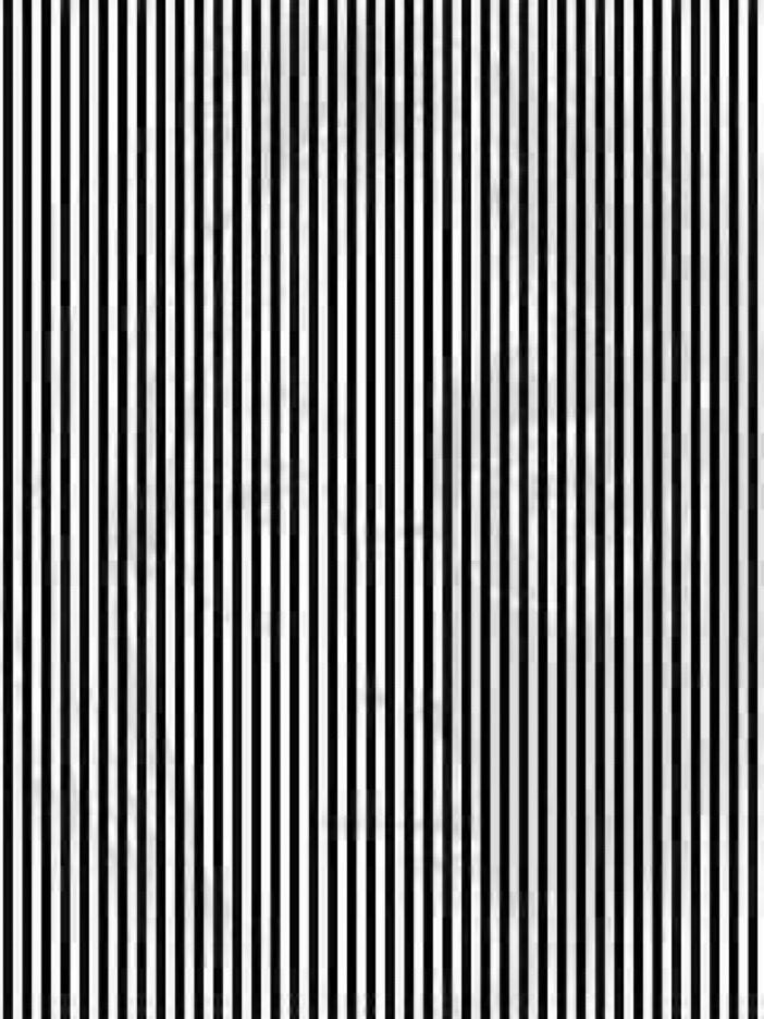 10秒以内に「何か」が見えた人はRT 
100人に1人しか見えないらしい