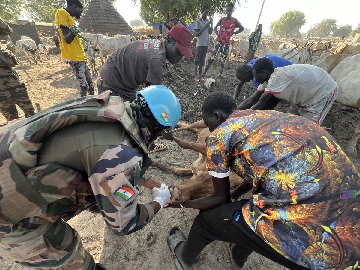 #PeaceBegins with protecting livelihoods. In Abyei, cattle are are used for food, trade and even to settle disagreements. Find out how the Indian battalion in @UNISFA_1 helped protect communities by saving thousands of cows 👉 ow.ly/SSbX50RpgW5 @adgpi @IndiaUNNewYork