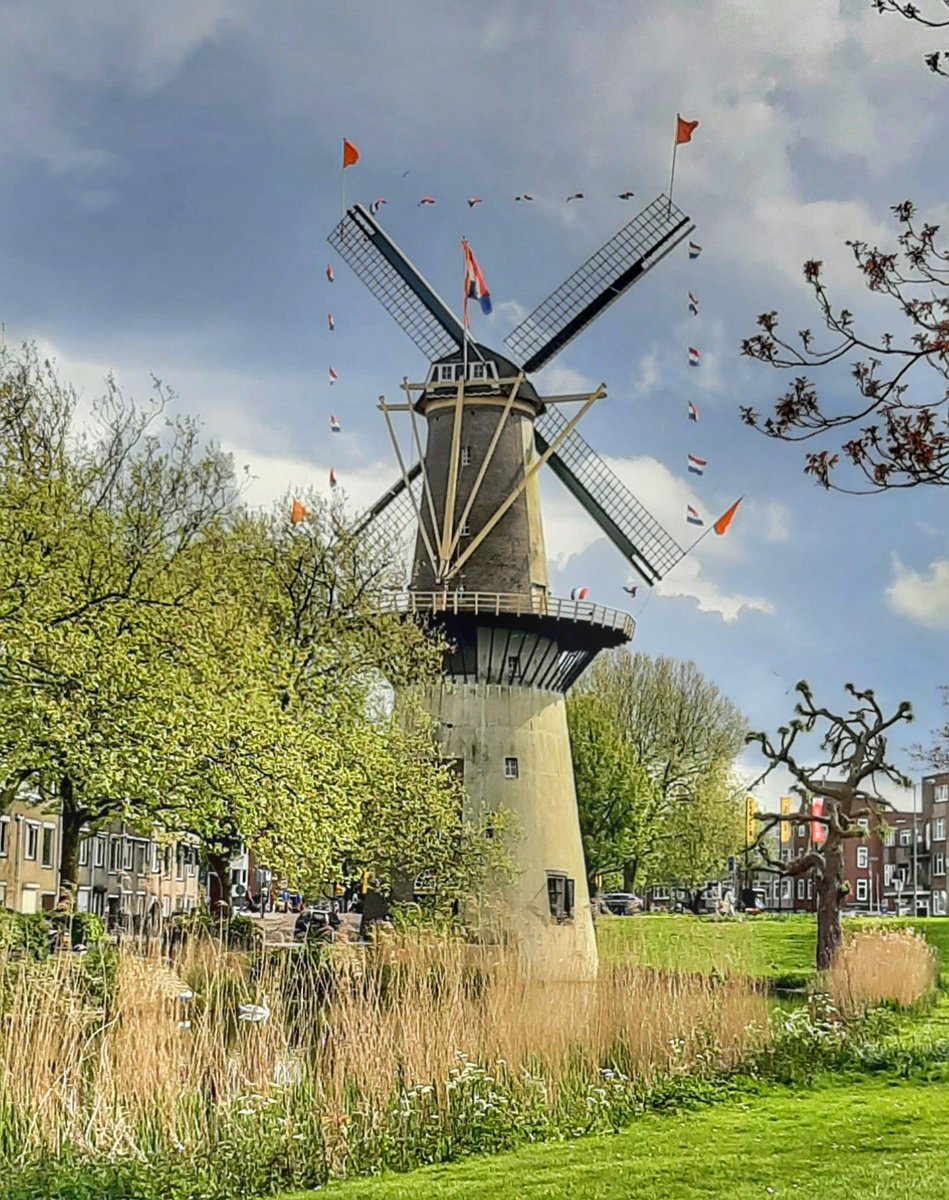 National and orange flags on the giant #windmills in our city #Schiedam to celebrate our King's birthday. 
#Kingsday2024 #Koningsdag2024  #Holland #TheNetherlands