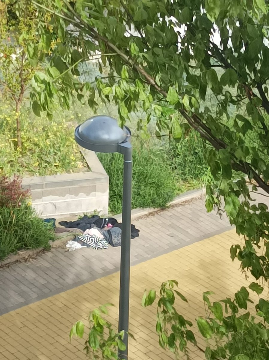 beloga69's tweet photo. @Lineamadrid   Las vistas espectaculares desde mi ventana, lleva la ropa tirada + de 5 días. Espacio interbloques entre calle Mirasierra 5 y 7 Hoy pregunté a un barrendero y dice que los sitios que tienen ladrillos no son de ellos @AAVVBarrioMosca   #Warripop #aquinolimpianadie https://t.co/tLJQmQGlbf