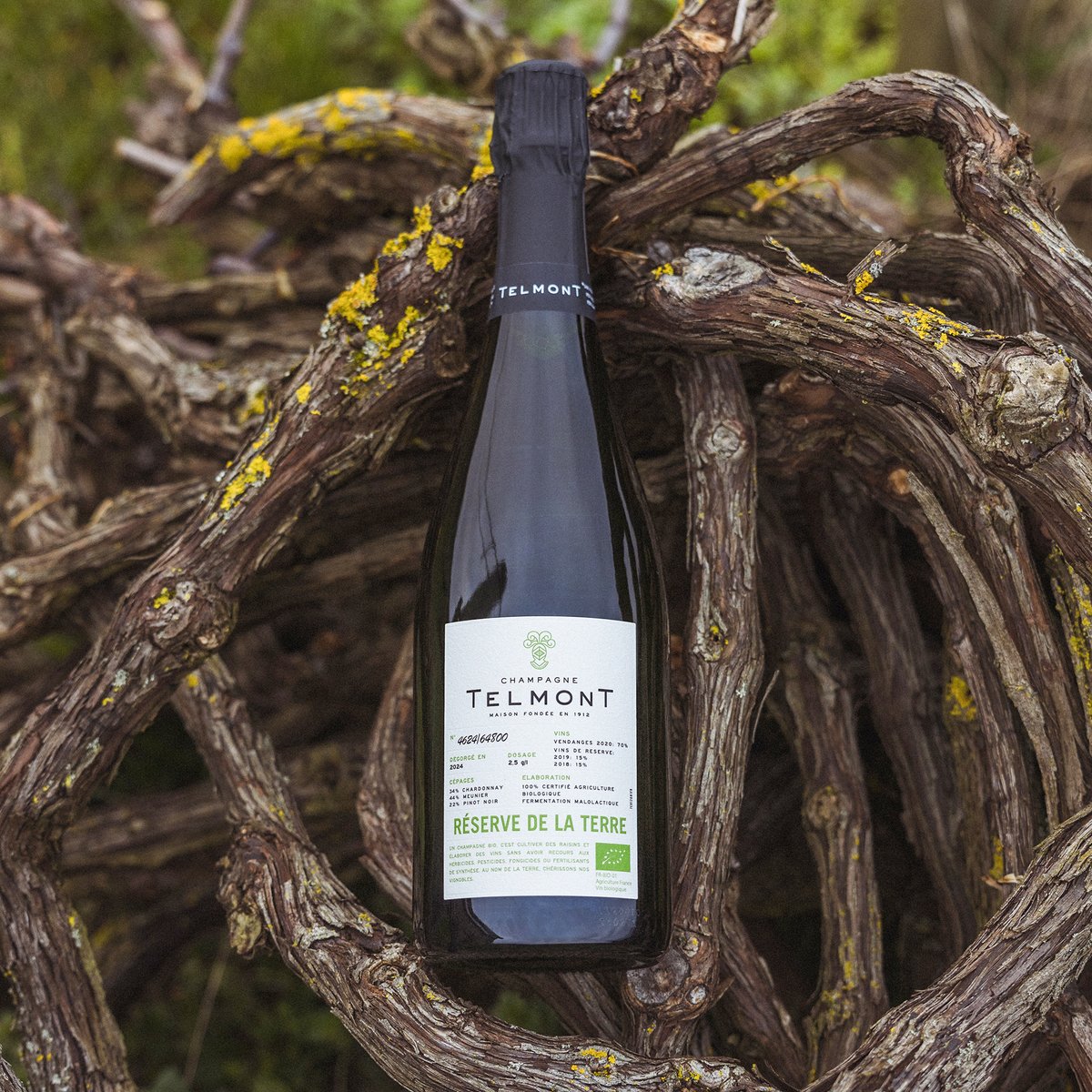 maisontelmont's tweet photo. We are so proud to reveal the future of Champagne with milestone Réserve de la Terre: radiant, luminous, and full of life, crafted from organic grapes without herbicides, pesticides, fungicides or synthetic fertilizers. https://t.co/n5v8cmcIK1
