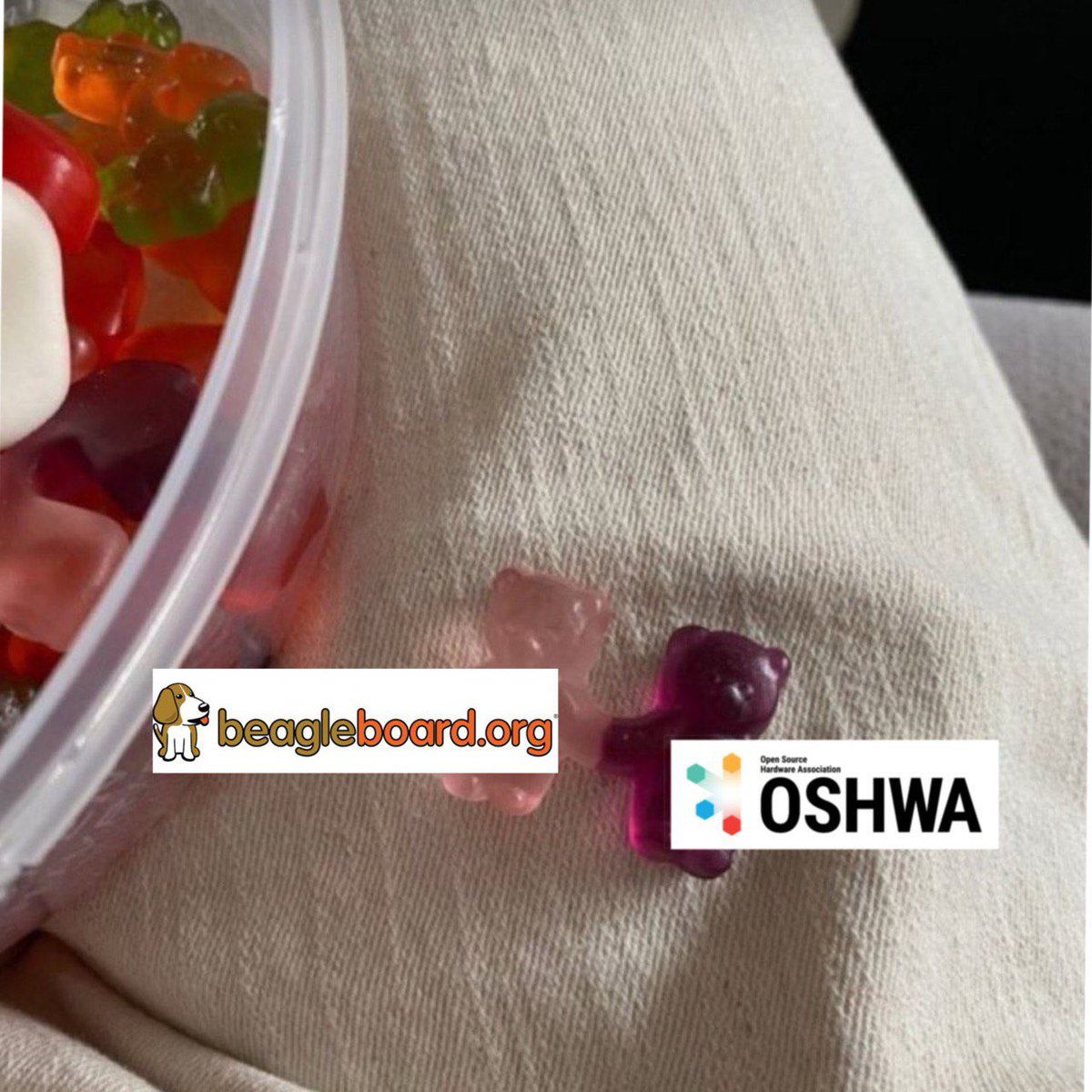 We've gotta give a big, massive thank you to <a href="/beagleboardorg/">BeagleBoard.org</a> for just being so great! We're so lucky to get to make things like the Summit happen thanks to their support!