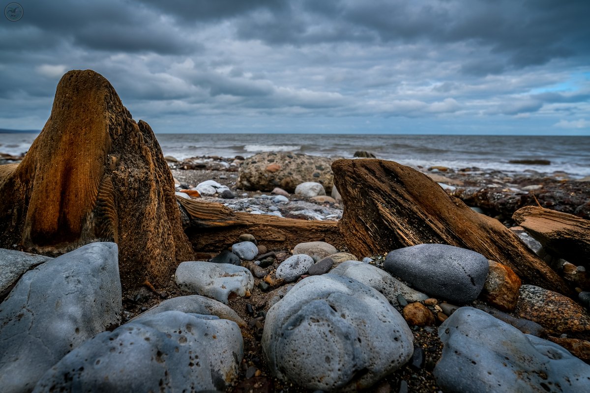 Sea Smoothed Wood

#landscapephotography #coast #photography #shoreline #waves #cumbria #clouds #lakedistrict #sea #water #landscape #coastline #coastalliving #photographer #bluesky #sun #beach #sand #pebbles #wood