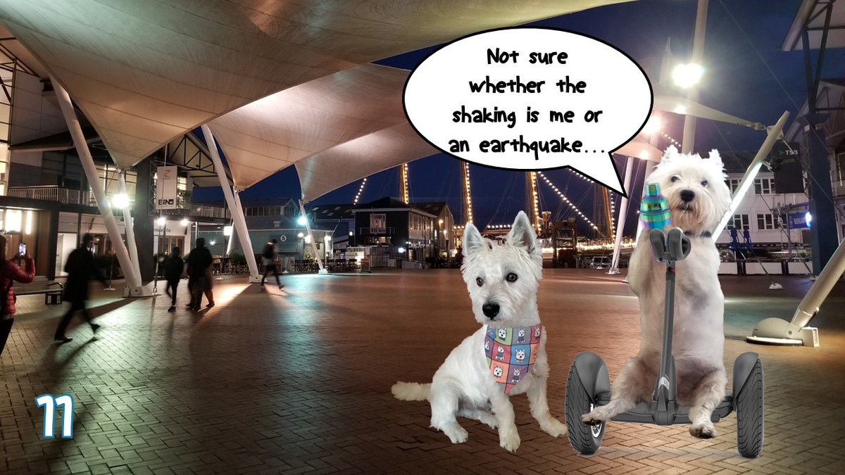 Hamish & I are in Middle Earth.... #zzst @Veronicahallis1