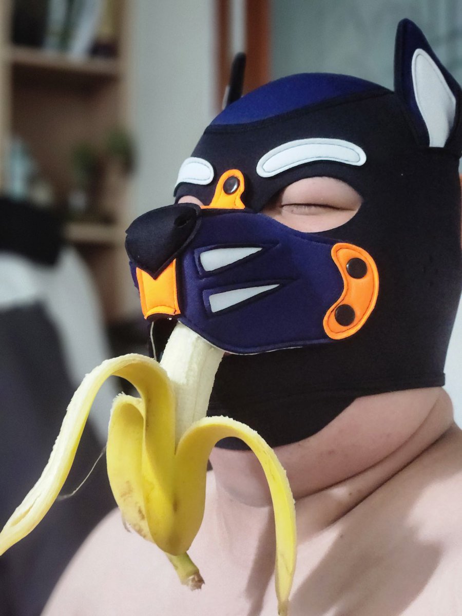 PUP_Pongo tweet media