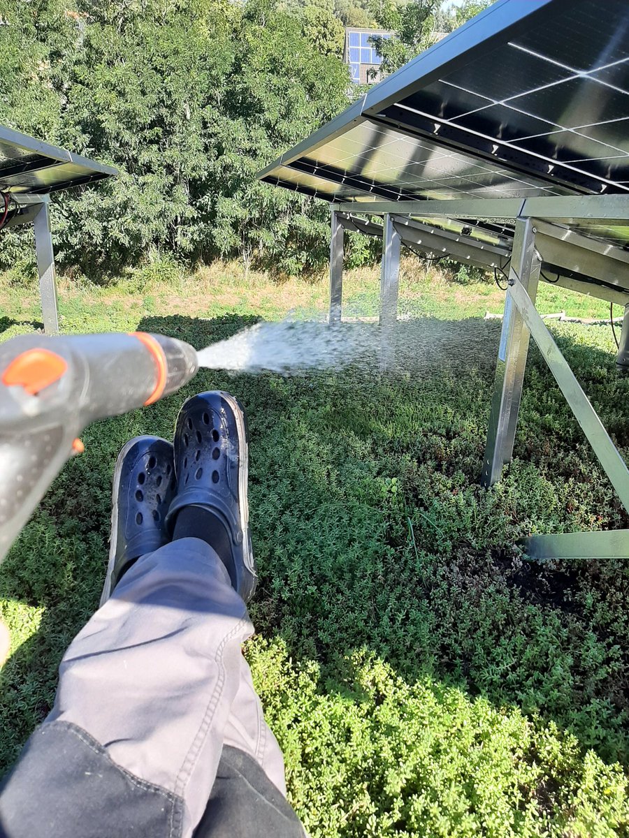 Dachbegruener's tweet image. Grünstrom #TagderErneuerbaren