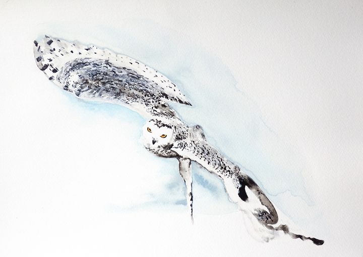 Art of the Day: 'Snowy owl'. Buy at: ArtPal.com/czibiart?i=735…