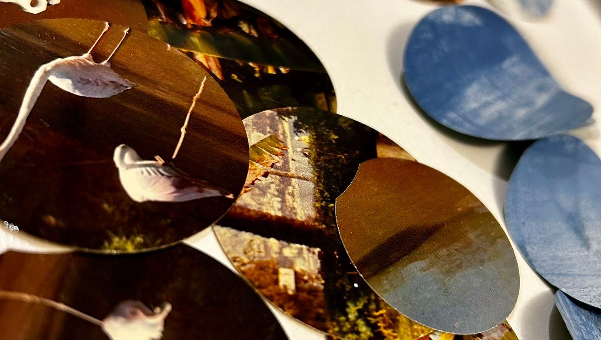 rhzondagstudio's tweet image. These cut out circles from vintage postcards (remember my post about visiting the French flea market in Lyon?) are the secret ingredients to creating a whimsical collage (in progress). #collage #artisticadventures #paperfun #artiststudio #mixedmedia #stationery #postcards