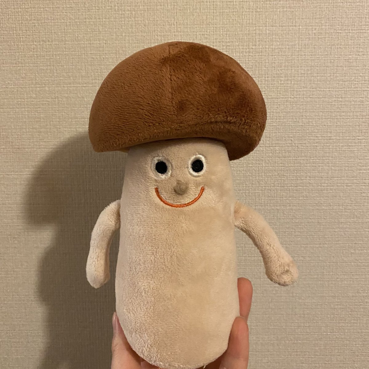 Kobutuno_otaten's tweet photo. とぼとぼ帰宅したけど家にカペリートがいたので事なきを得た。 https://t.co/hnvlDFPKRh