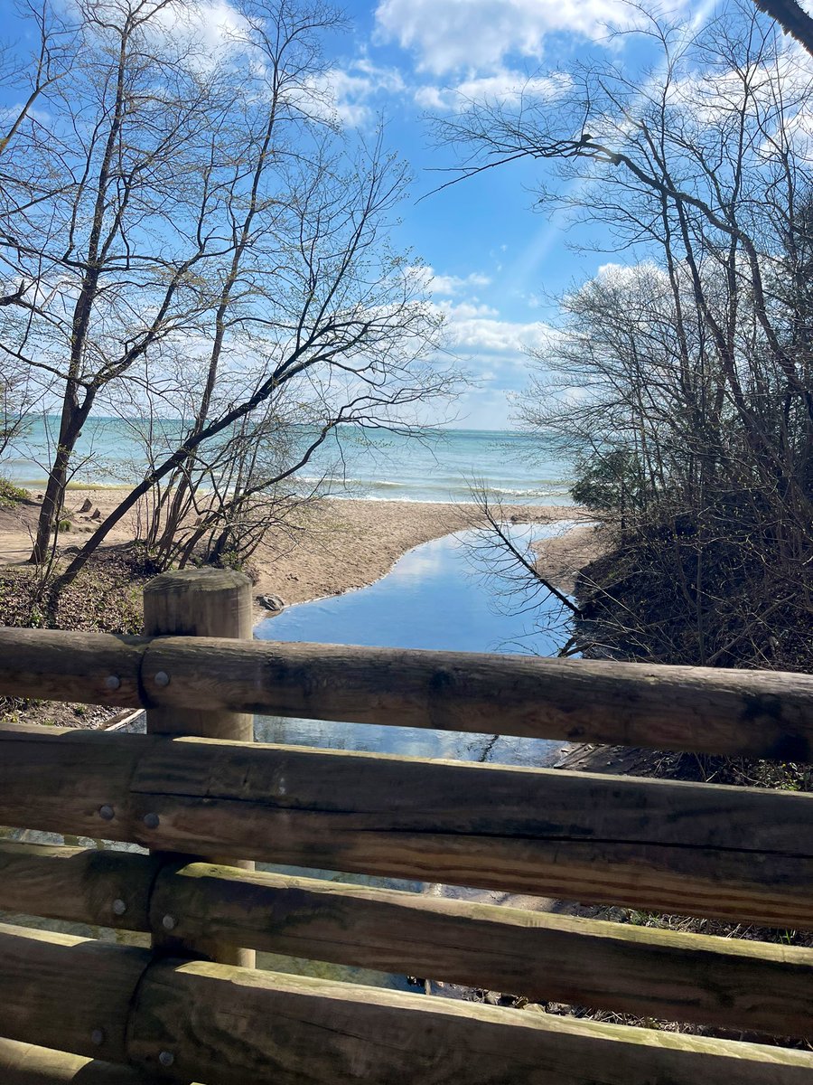 Val 🏴‍☠️ tweet media