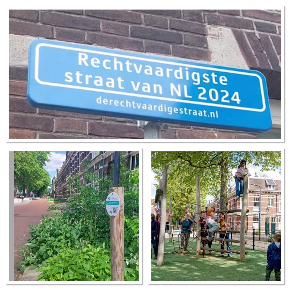 De rechtvaardigste straat van NL vind je #inBrabant, de Maijweg in Den Bosch. De jury was onder de indruk van de ‘vasthoudende inzet van bewoners’. Zij zorgden ervoor dat de straat welhaast een oase is geworden tussen het drukke spoor en de Koningsweg 🌱👉🏻 tinyurl.com/mr25pkve