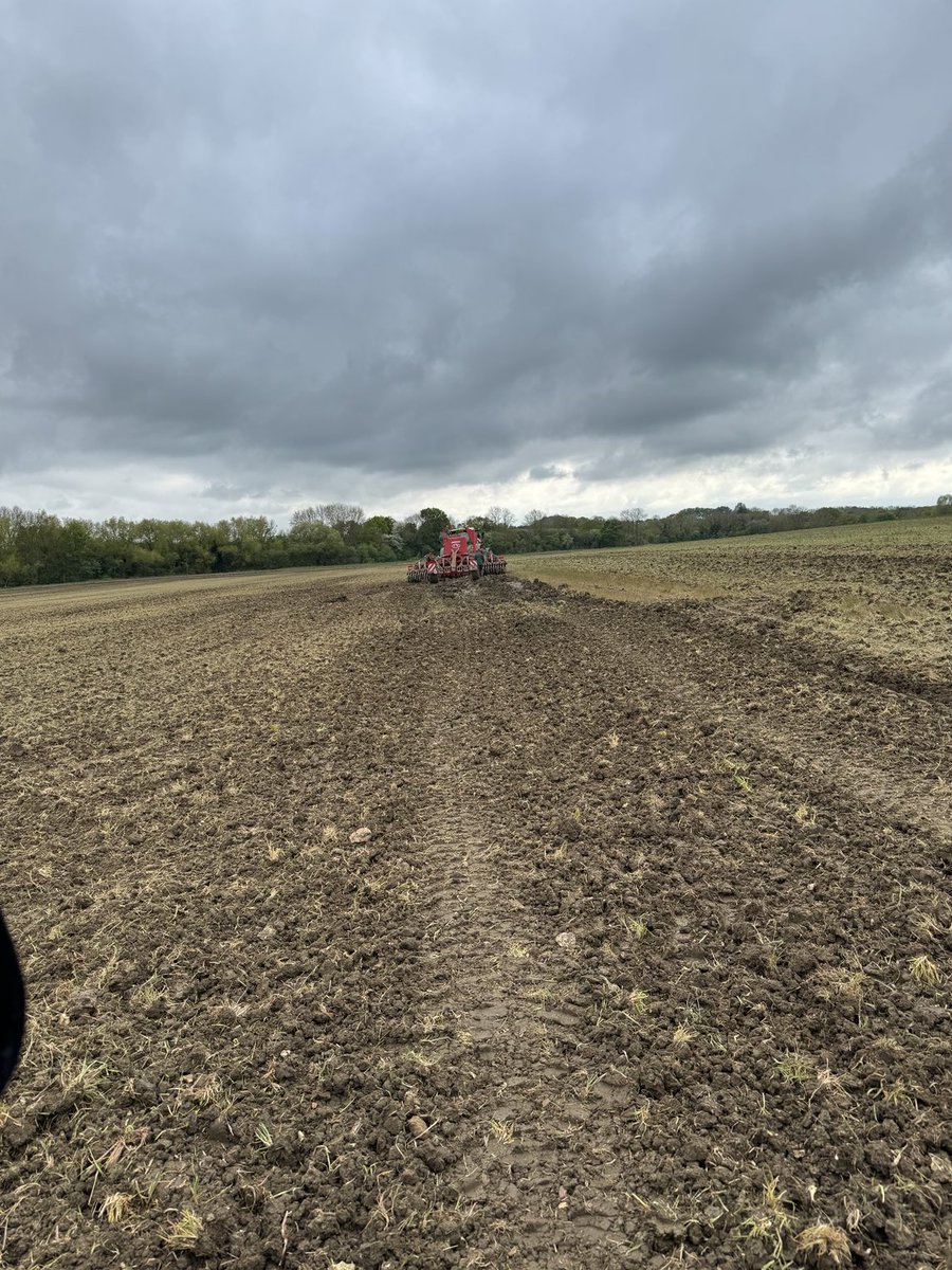 Found a wet hole, digging out eats time. Land drainage is critical to farming.