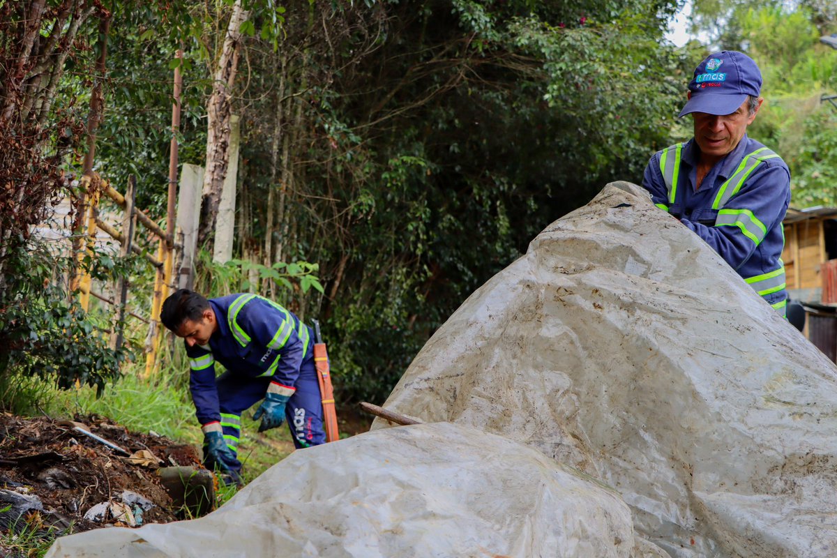 ¡Manizales resplandece con cada acción por el planeta!🙌🏻♻️ En el barrio Sinaí nos unimos con la @SecAmbienteMzls y el apoyo de la Escuela de Carabineros Alejandro Gutiérrez y la @PoliciaMzales en una brigada de limpieza 🧹

@Veolia_Co, @JorgeERojasG, @CiudadManizales, @Juancaqn