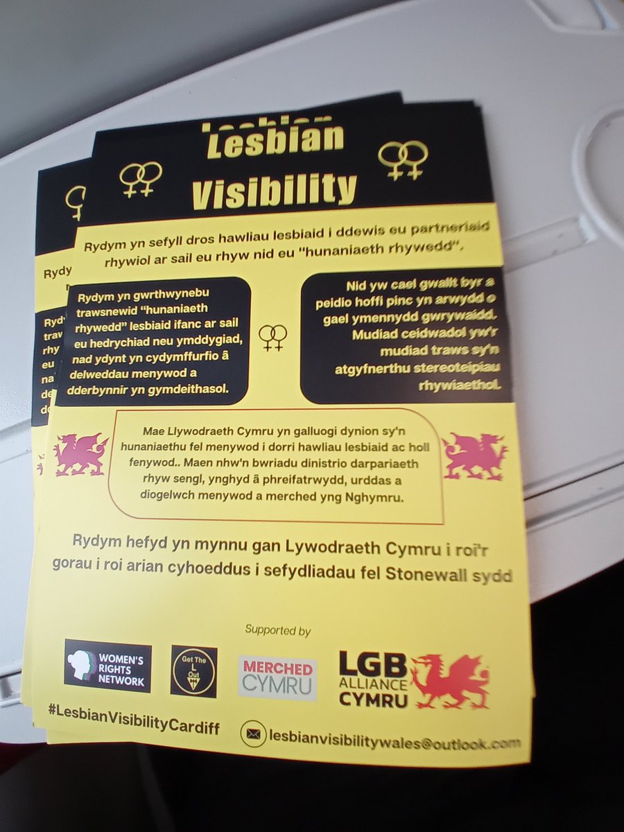 Our leaflets today
#LesbianVisibilityCardiff