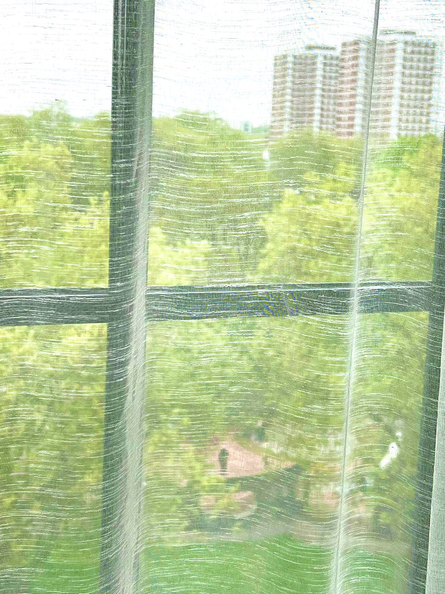 Bud Smith tweet media