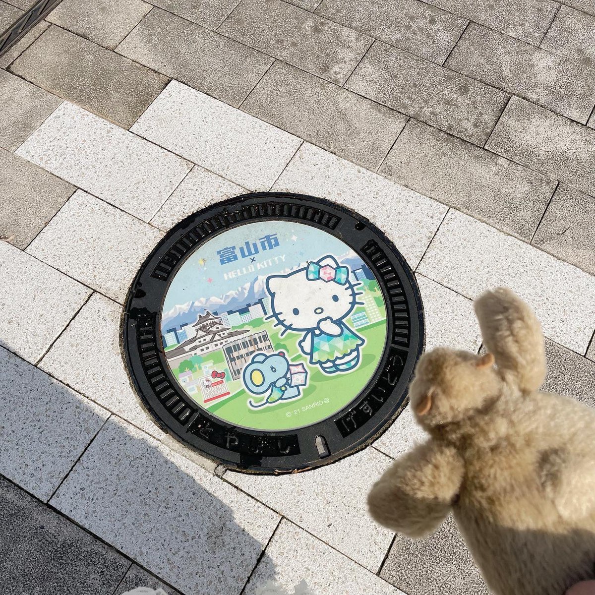 memuuu__317's tweet photo. 今年の2月に富山に行った時の自分へのお土産〜！！可愛いものだらけで最高だよ🦭
#真珠コーナー https://t.co/wIB0H0m9AN