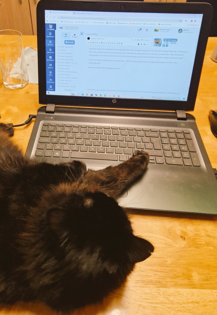 Pay attention to me, mum. Stop writing and stroke me. #amtryingtowrite