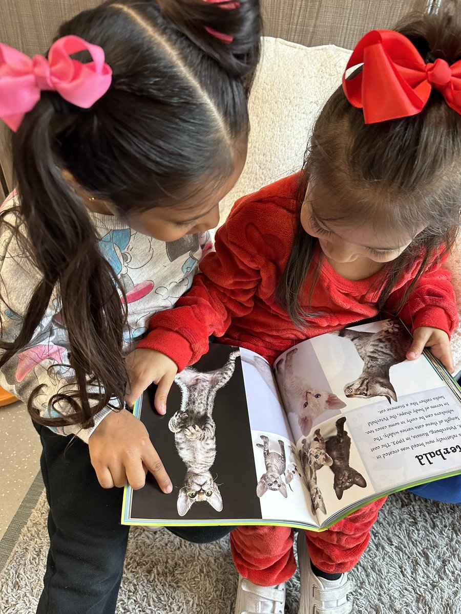 When they choose books, it makes my heart happy. ❤️