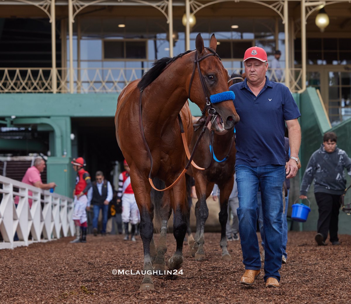 Impressive run yesterday in R6 for Parenting under Juan Hernandez for HoF trainer Bob Baffert (blue helmet) prosper (orange) eventual 2nd place Santarena (red and black) @santaanitapark @BobBaffert @JJHernandezS19