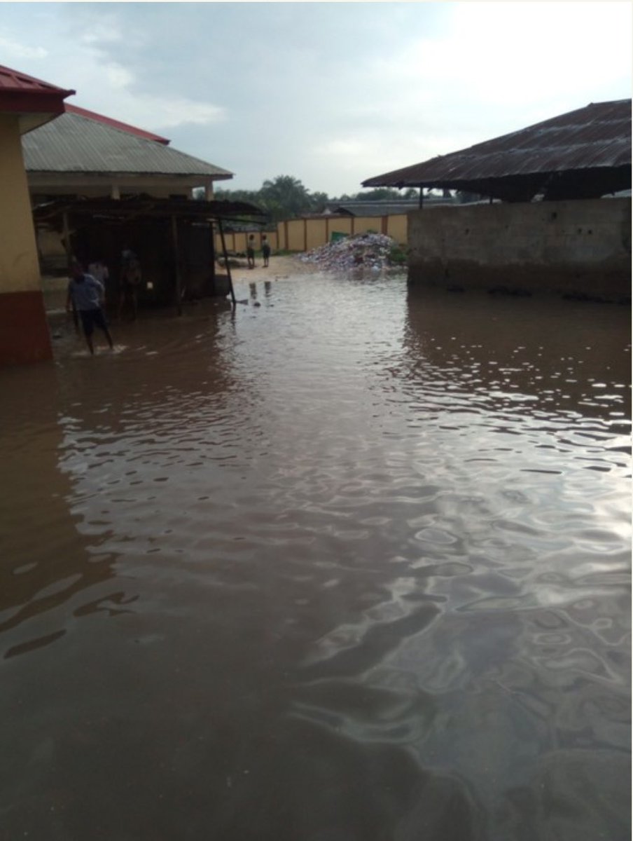 UPDATE! UPDATE!!
 This is not a fish pond, neither is it a dam. This is Anglican Primary School, Ijanikin, Lagos. This is one of the schools in a state that built Tinubu and co. God punish you if you support the looters looting the future of these kids.

#TinubuLagosSchoolSeries