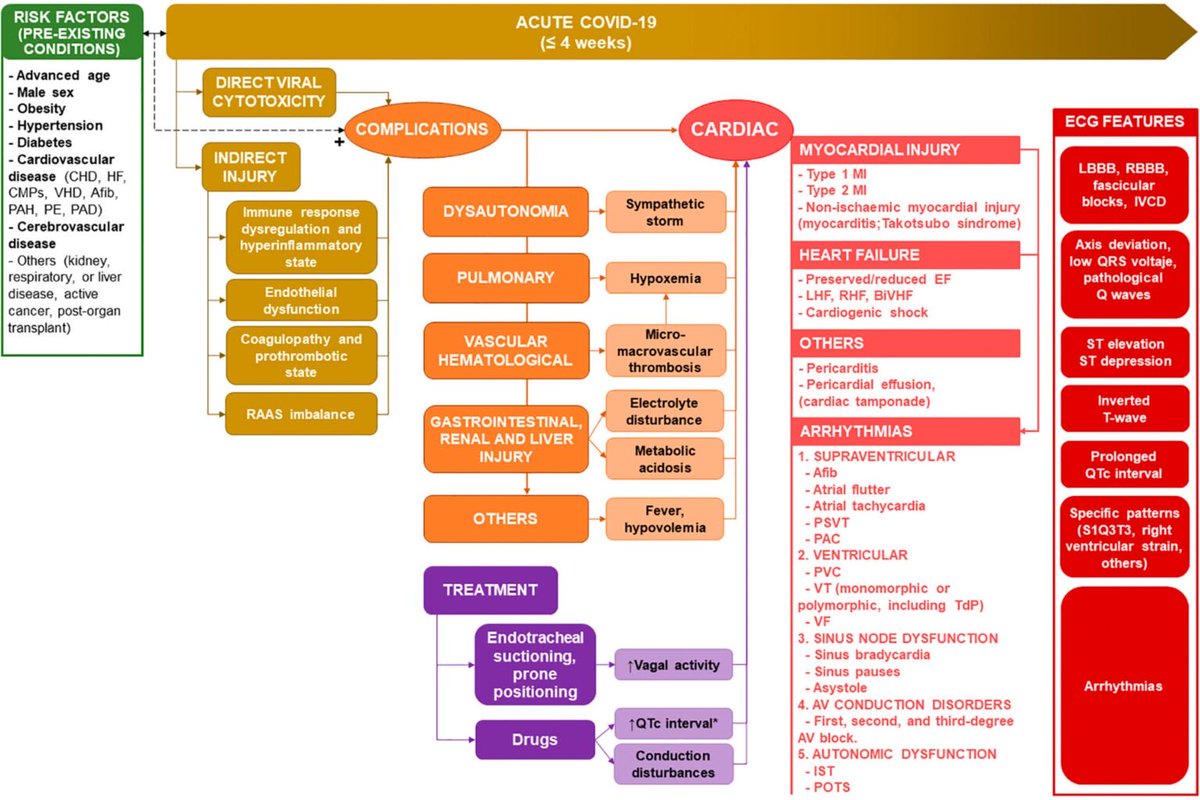 Lessons Learned from Cardiac Complications of COVID-19 and the Value of the ECG doi.org/10.36660/ijcs.… @adribaran : great editorial at @onlineIJCS @sbc_cientifico @SIAC_cardio @Lps_Marcella @pabeda1 @alexsfelixecho @acepuba @AnaCatarinaOrt @ANCAM_MEXICO @EzequielZaidel