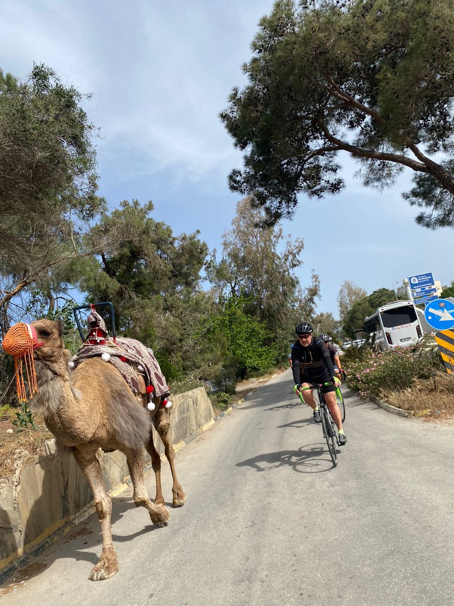 Kervan yolda düzülür 😂😂