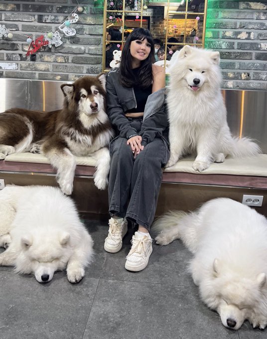 woof🐕 https://t.co/Z0lgvGesKZ