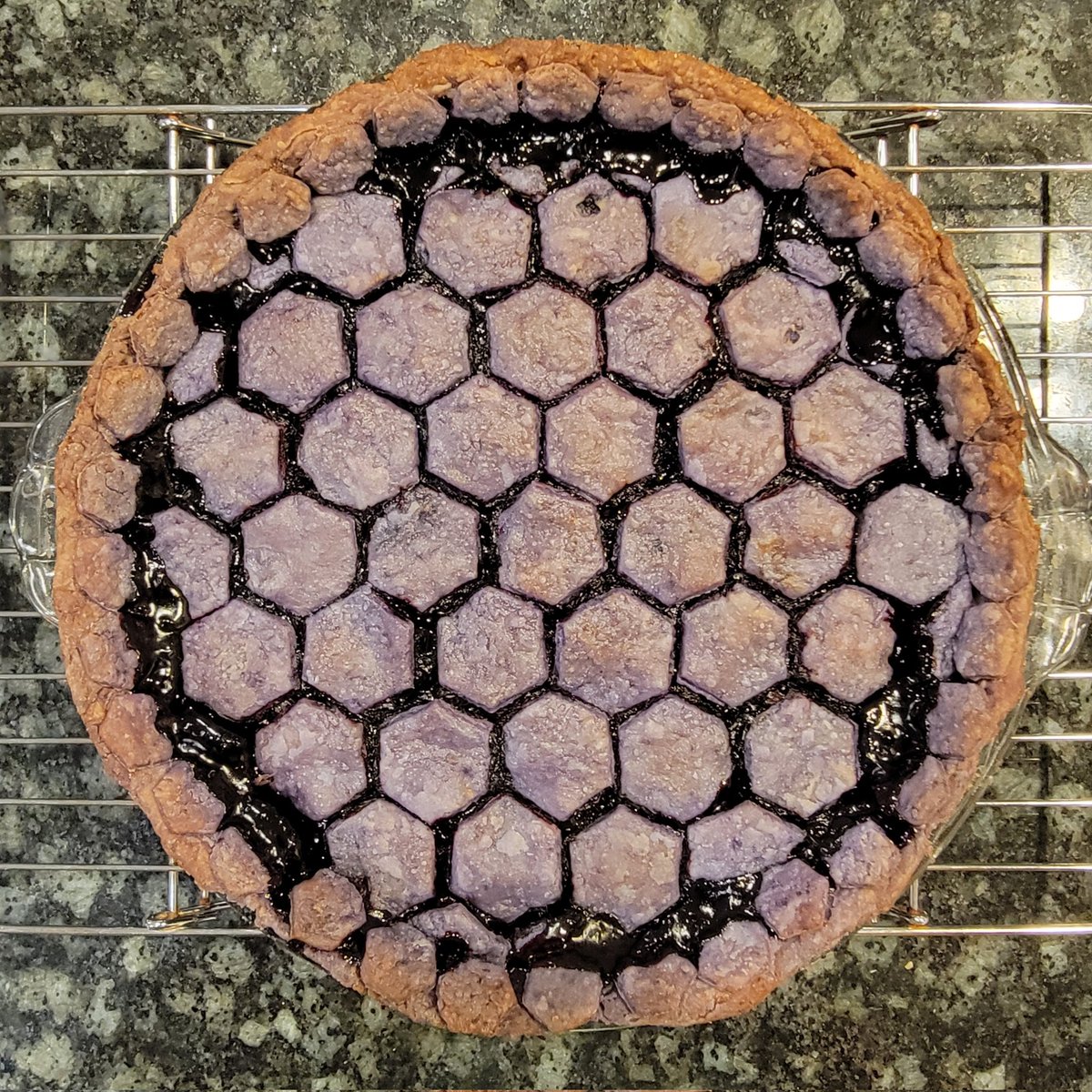 Dendritic_View's tweet photo. Blue Match Pie Crust with an Earl Grey Tea - Saskatoons and Haskap filling
Playing with colours today, went a little too dark - the hex pattern felt fun
#PiePanache https://t.co/SP2uSPJAjX