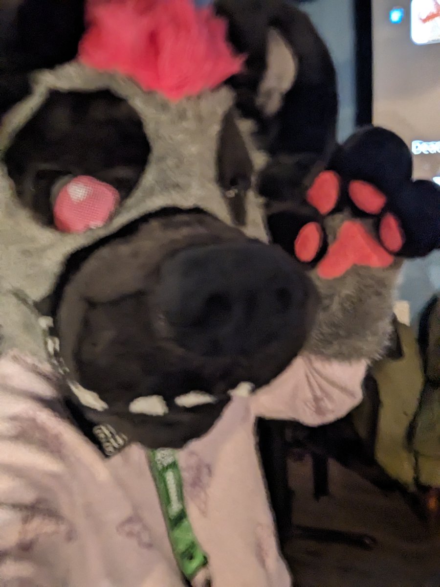 Happy #WorldHyenaDay!

I've been a busy yeen and don't have much to share, but please enjoy this blurry selfie from an event last night. Make sure to pet your local yeen and tell them how much they mean to you!