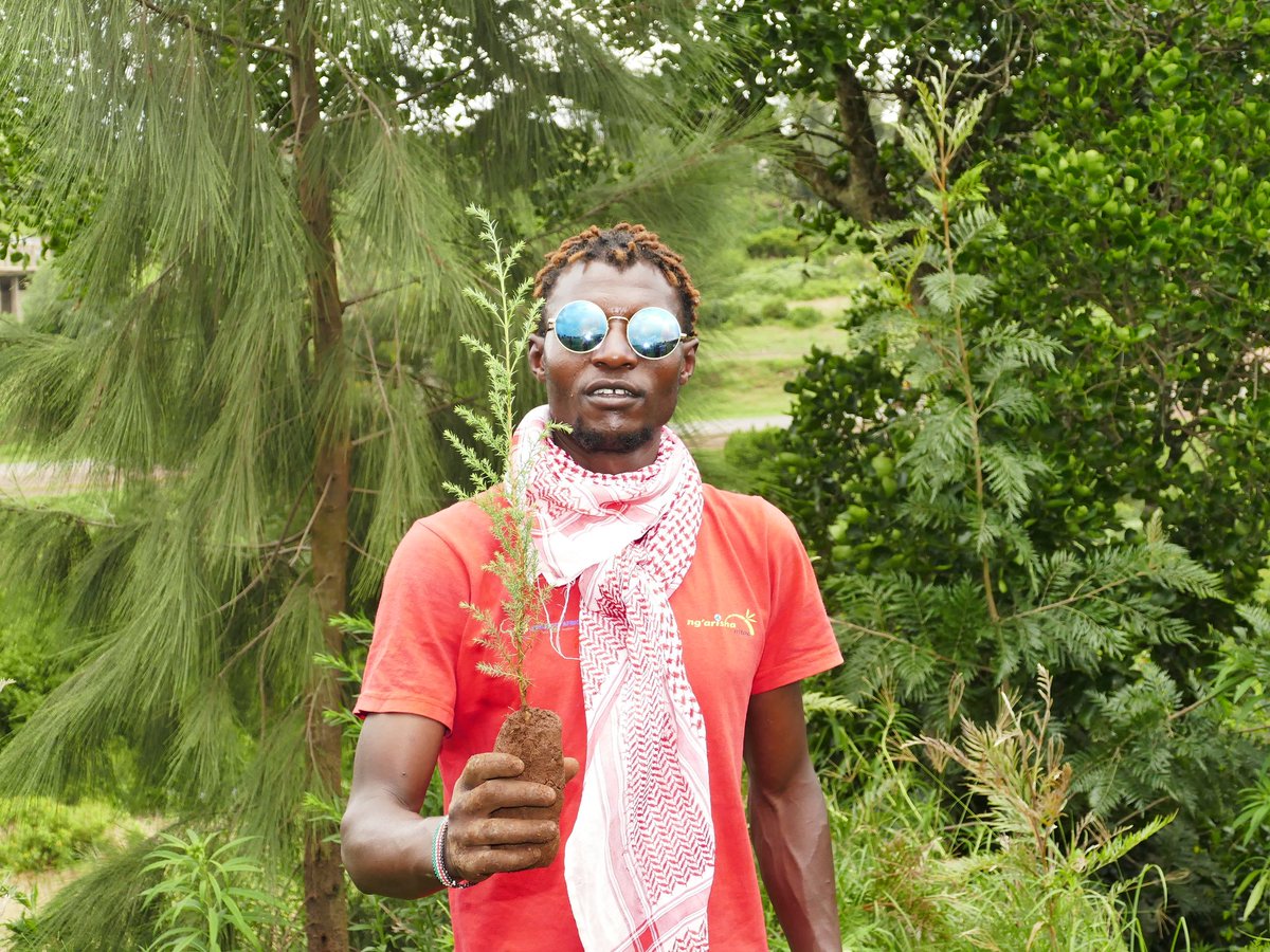 Mweiga town clean up and Tree growing activity was successful. MAKING KENYA CLEAN AND GREEN.
#ecosystemRestoration
@DefendersKE  @NGMtaa031 @EnviClimateC_Ke @k_iuesa @UNEP @LaikipiaMENWAR @WWF_Kenya @LaikipiaW_Forum