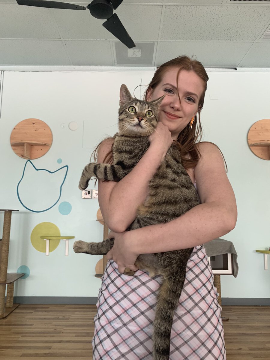 Went to a cat cafe today and brought Wooyoung @ATEEZofficial