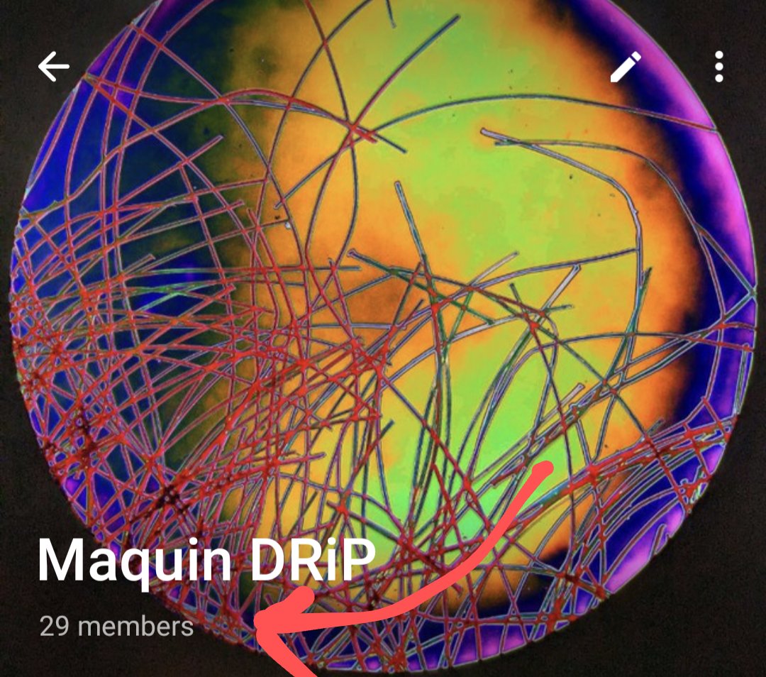 Did you know that I stated a telegram group chat about my @drip_haus 🔬🎨 channel? 29 members already🤯 I share my pieces in advance there 🎨 And everyone is welcome 🙂 No pressure, you can join just to look around 👀 Would love it if 🫵 join! Let me know if you want in 👇